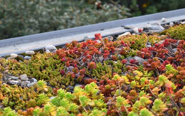 the cost of Bellfields green roof installation