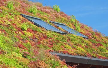 Bellfields living roof systems