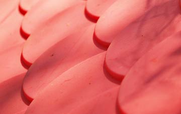 Bellfields plastic roof costs